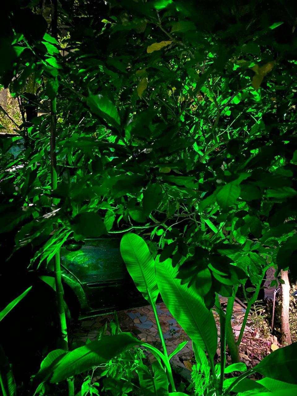 Pousada 4 Cantos Corumbá Exteriér fotografie